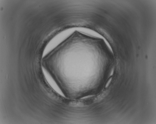 X0000081340354200702020055