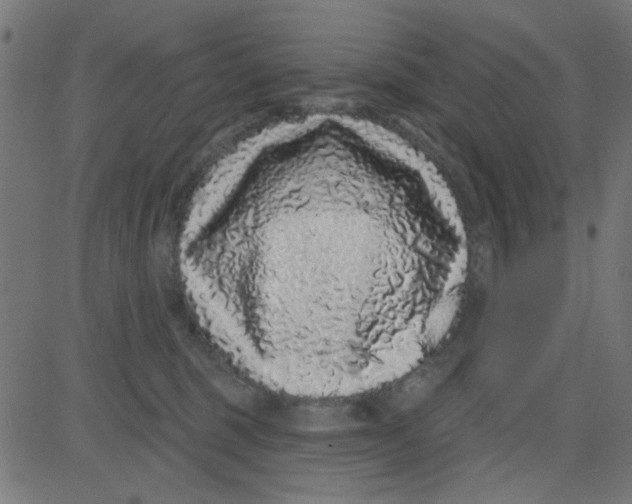 X0000081340375200702020055