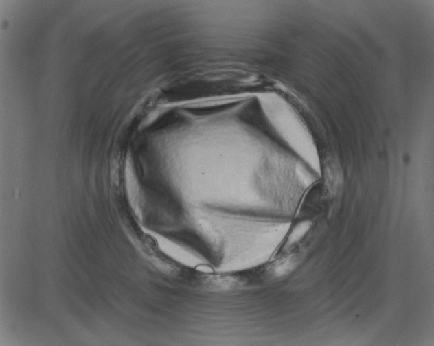 X0000081340379200702020055