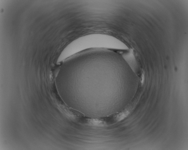 X0000081340380200702020055