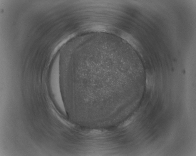 X0000081340390200702020055