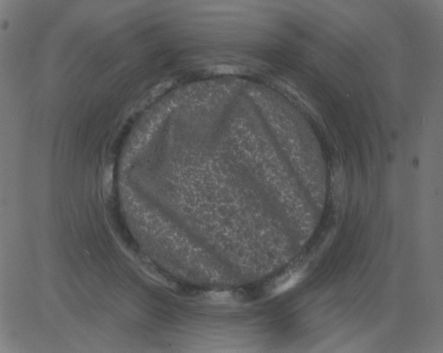 X0000081340406200702020054