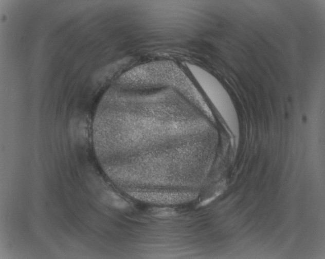 X0000081340424200702020054