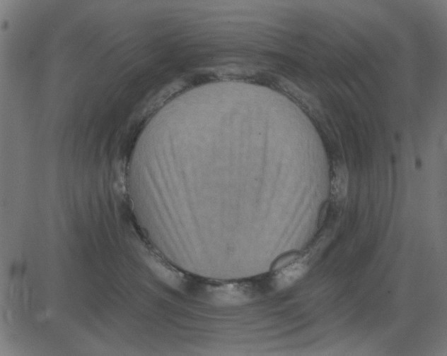 X0000081340430200702020054