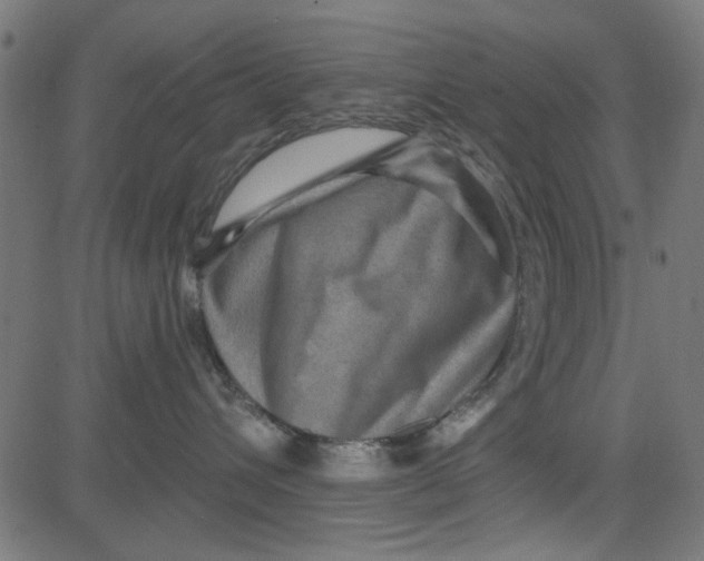X0000081340432200702020054
