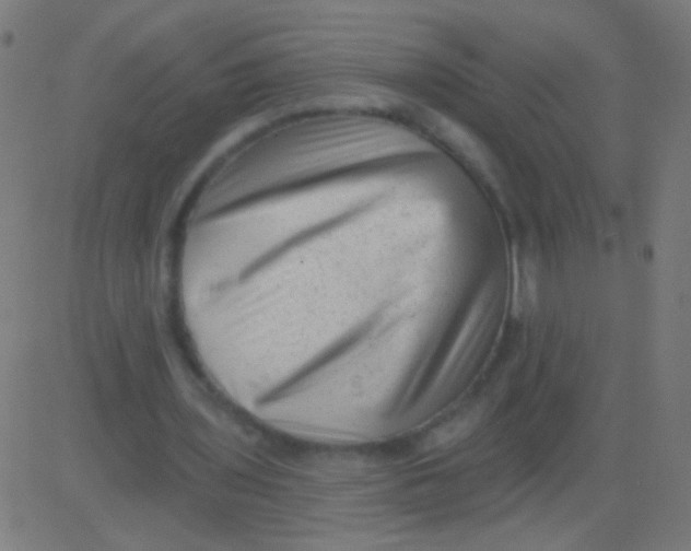 X0000081340435200702020053