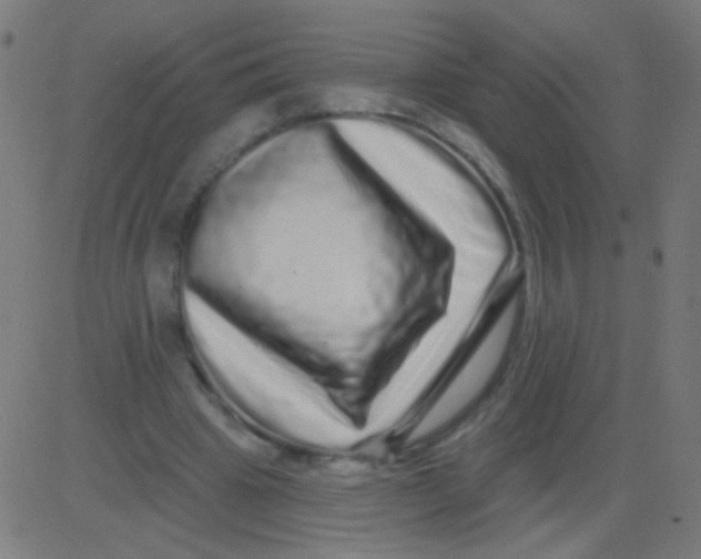 X0000081340441200702020053