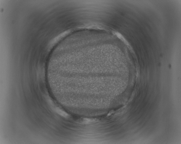 X0000081340442200702020053