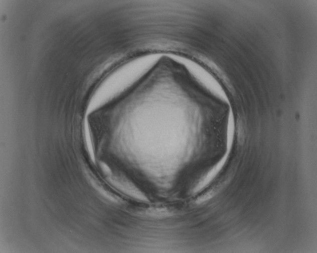 X0000081340445200702020053