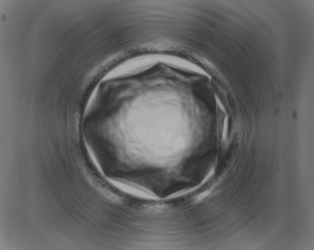 X0000081340446200702020053