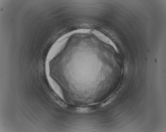 X0000081340457200702020053