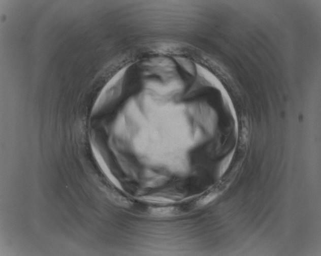 X0000081340461200702020054