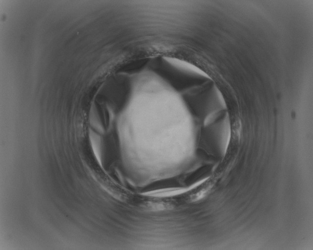 X0000081340464200702020054