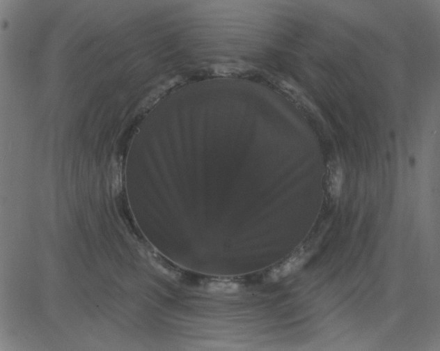 X0000081340471200702020054