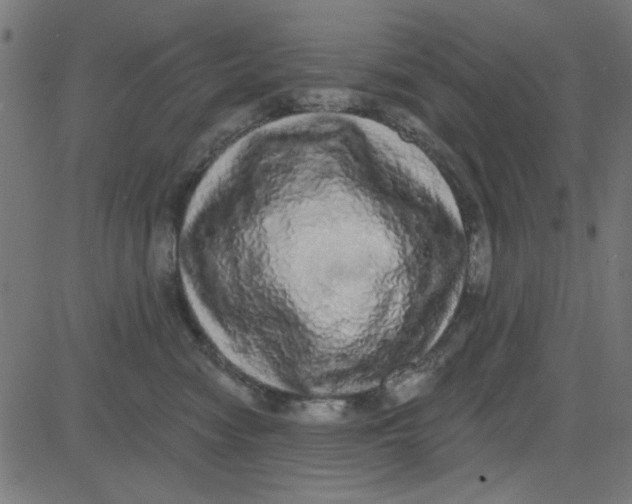 X0000081340474200702020054