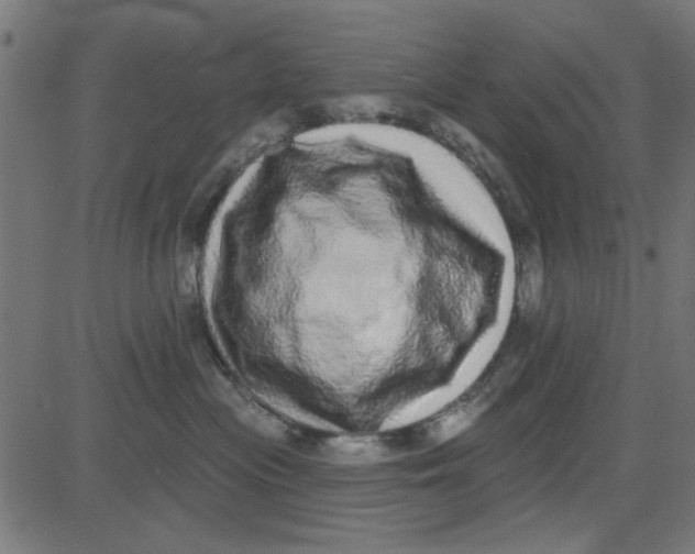 X0000081340477200702020054