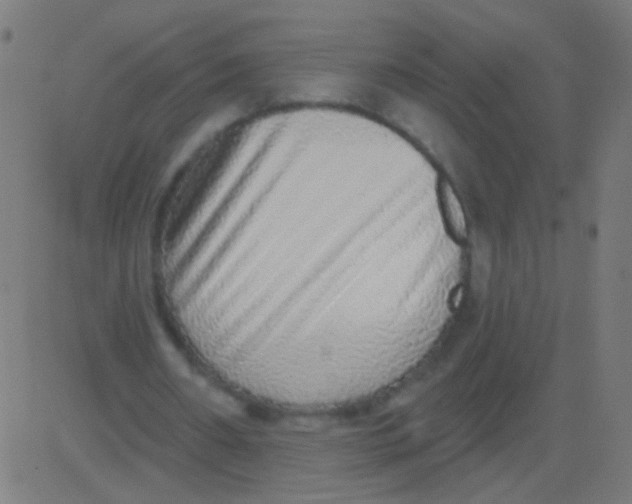 X0000081340482200702020053