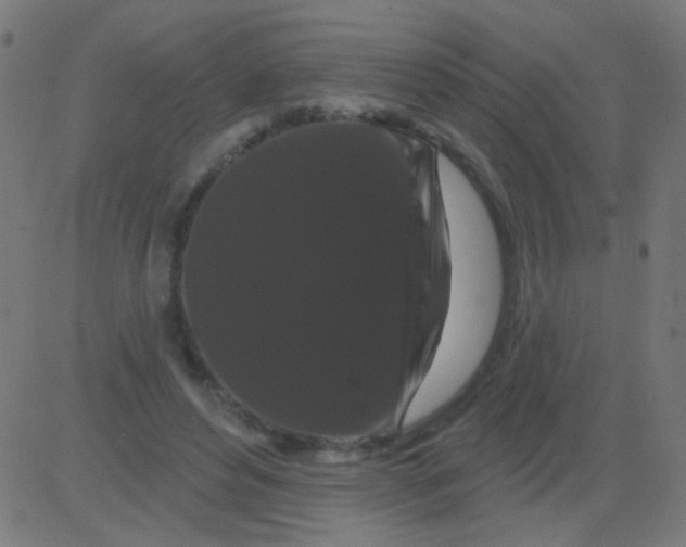 X0000081340496200702020053