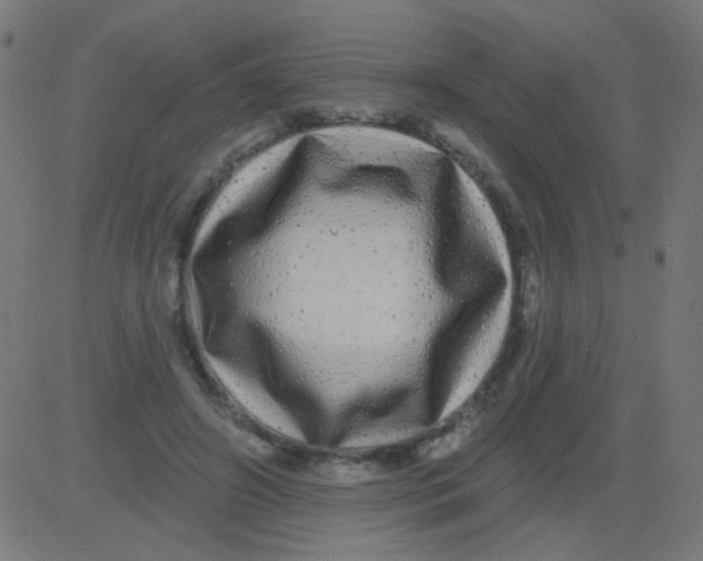 X0000081340498200702020053