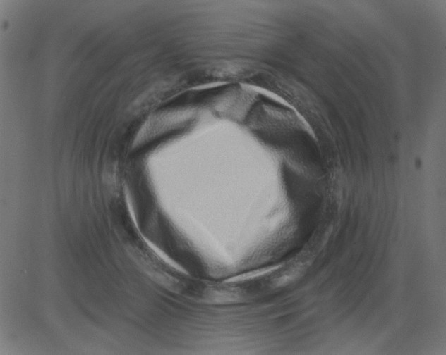 X0000081340510200702020053