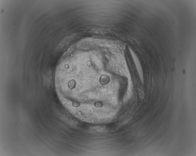 X0000081340511200702020053