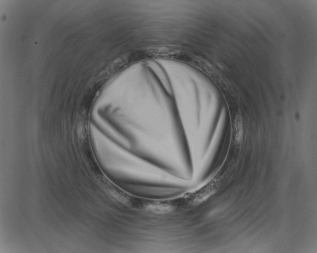 X0000081340515200702020053