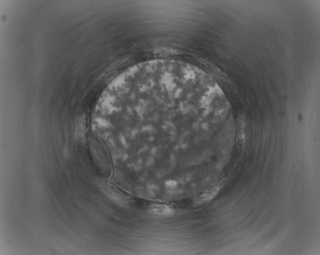 X0000081340519200702020052