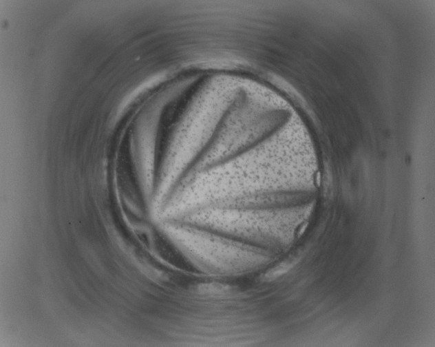 X0000081340535200702020052