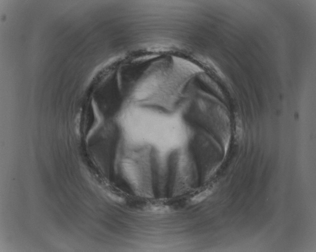 X0000081340543200702020052