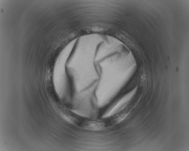 X0000081340555200702020052