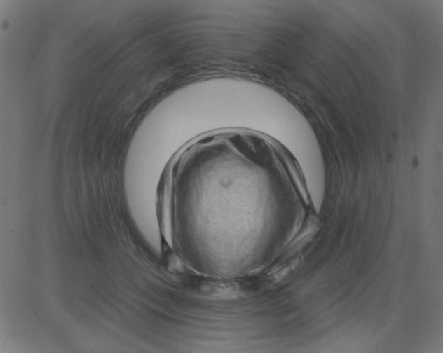 X0000081340559200702020052