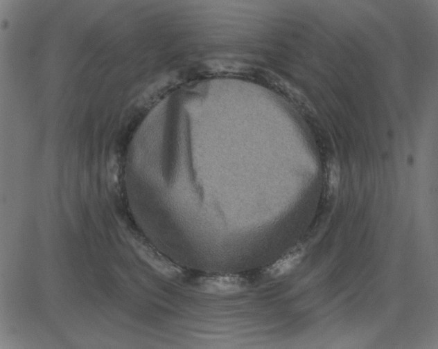 X0000081340567200702020052