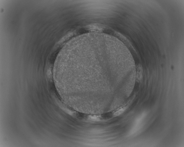 X0000081340573200702020052