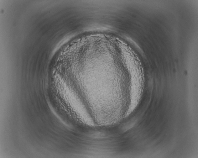 X0000081340582200702020051