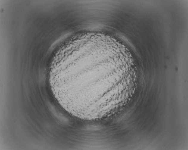 X0000081340586200702020051