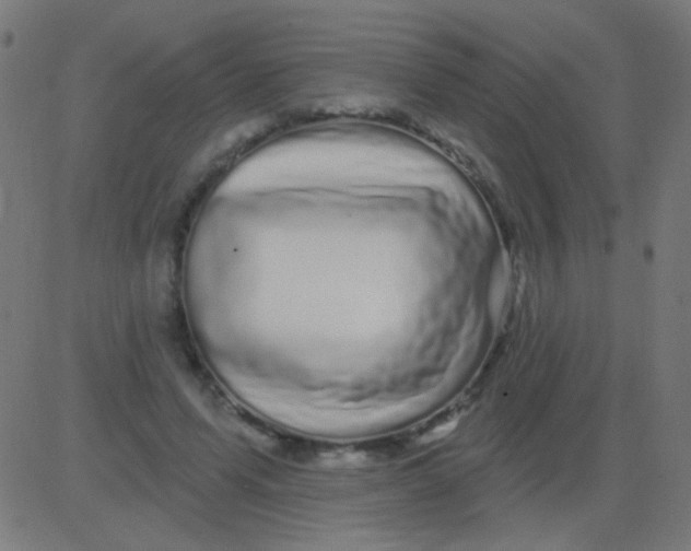 X0000081340591200702020051
