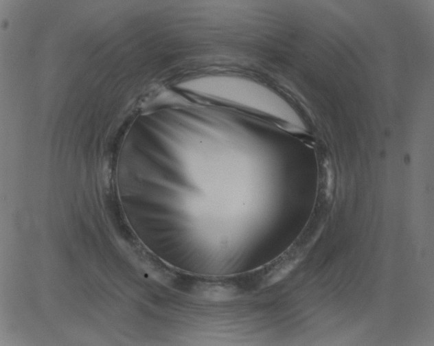 X0000081340597200702020051