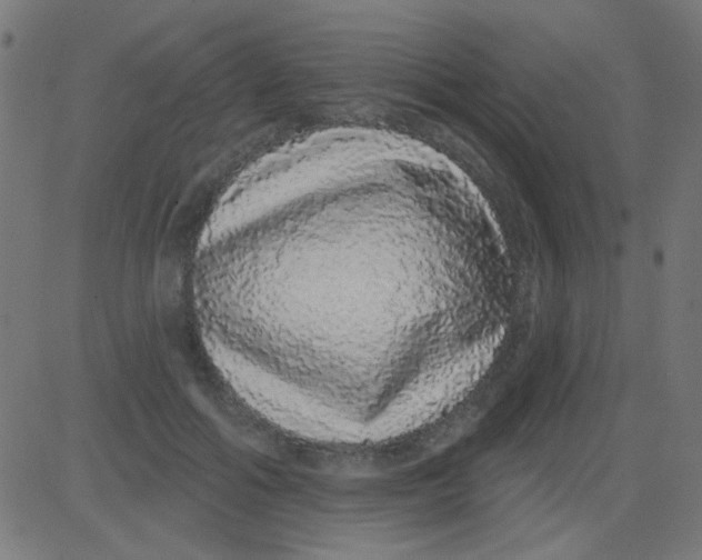 X0000081340602200702020051