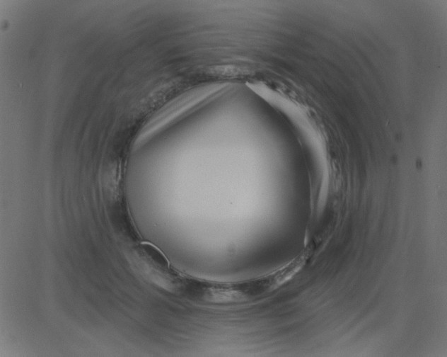 X0000081340605200702020051