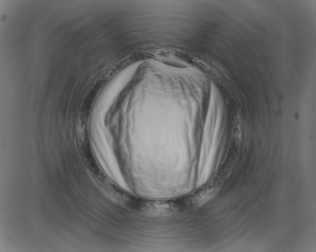 X0000081340607200702020051