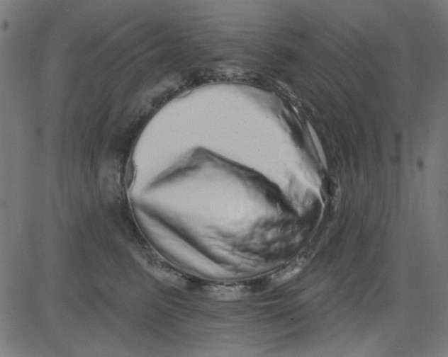 X0000081340615200702020051