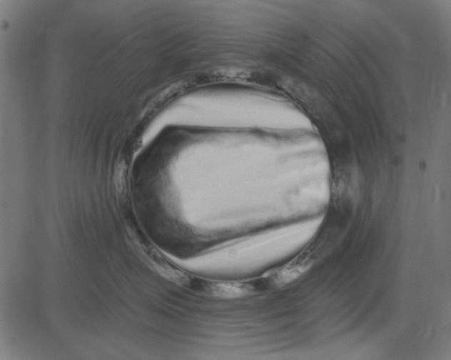 X0000081340623200702020051