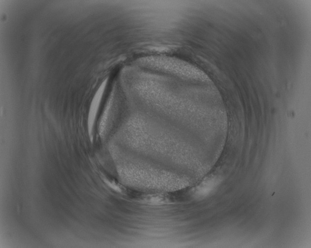 X0000081340624200702020051