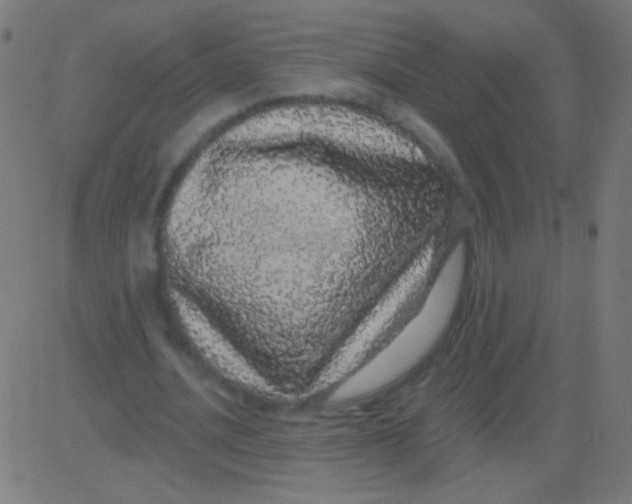 X0000081340628200702020050