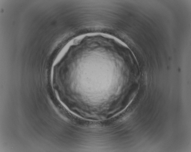 X0000081340638200702020050