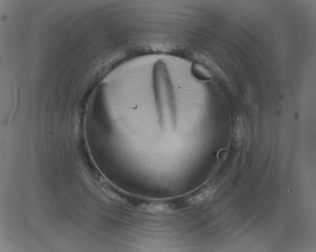 X0000081340639200702020050