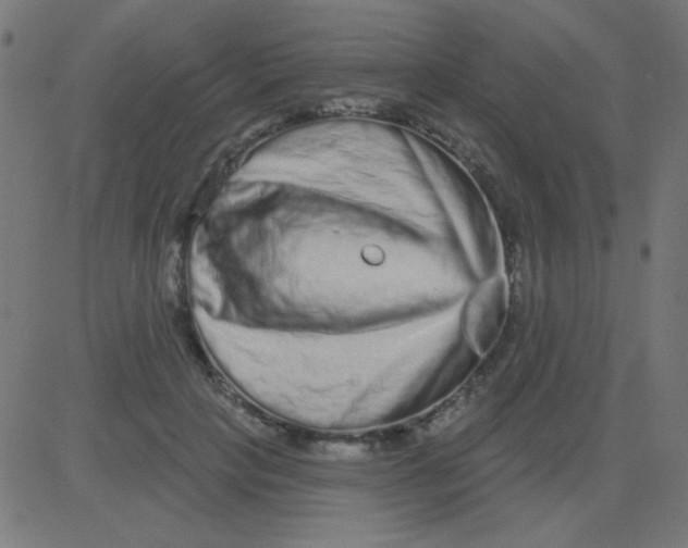 X0000081340649200702020050