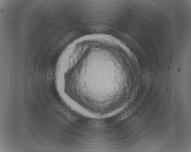 X0000081340660200702020051