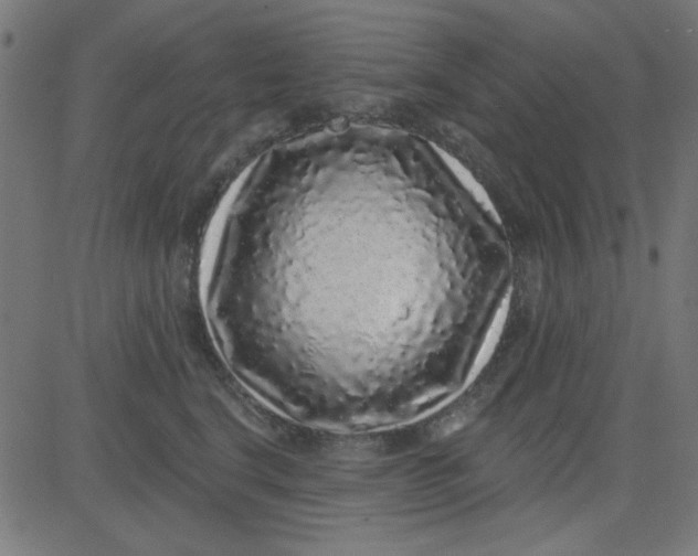 X0000081340664200702020051