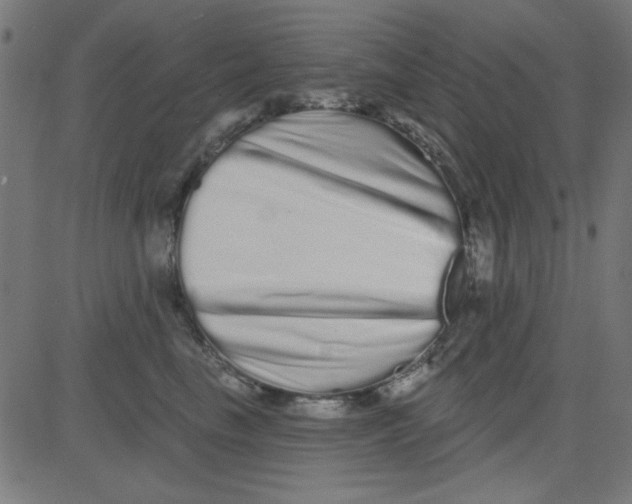 X0000081340665200702020051